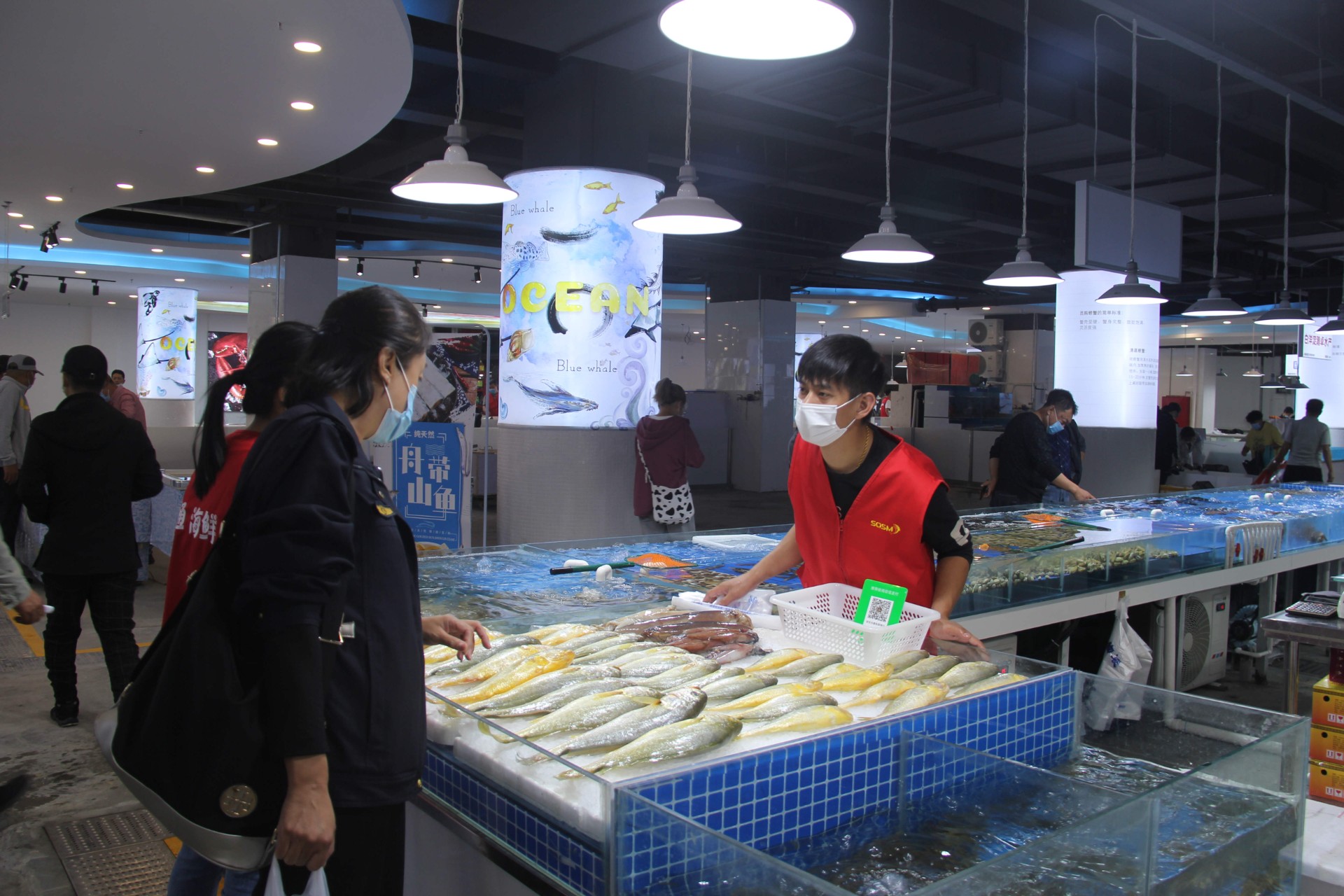 20210913/1a6fee3781354e4e8be6f401d42ea772.jpg 20210913/1a6fee3781354e4e8be6f401d42ea772.jpg